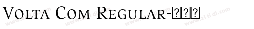 Volta Com Regular字体转换
